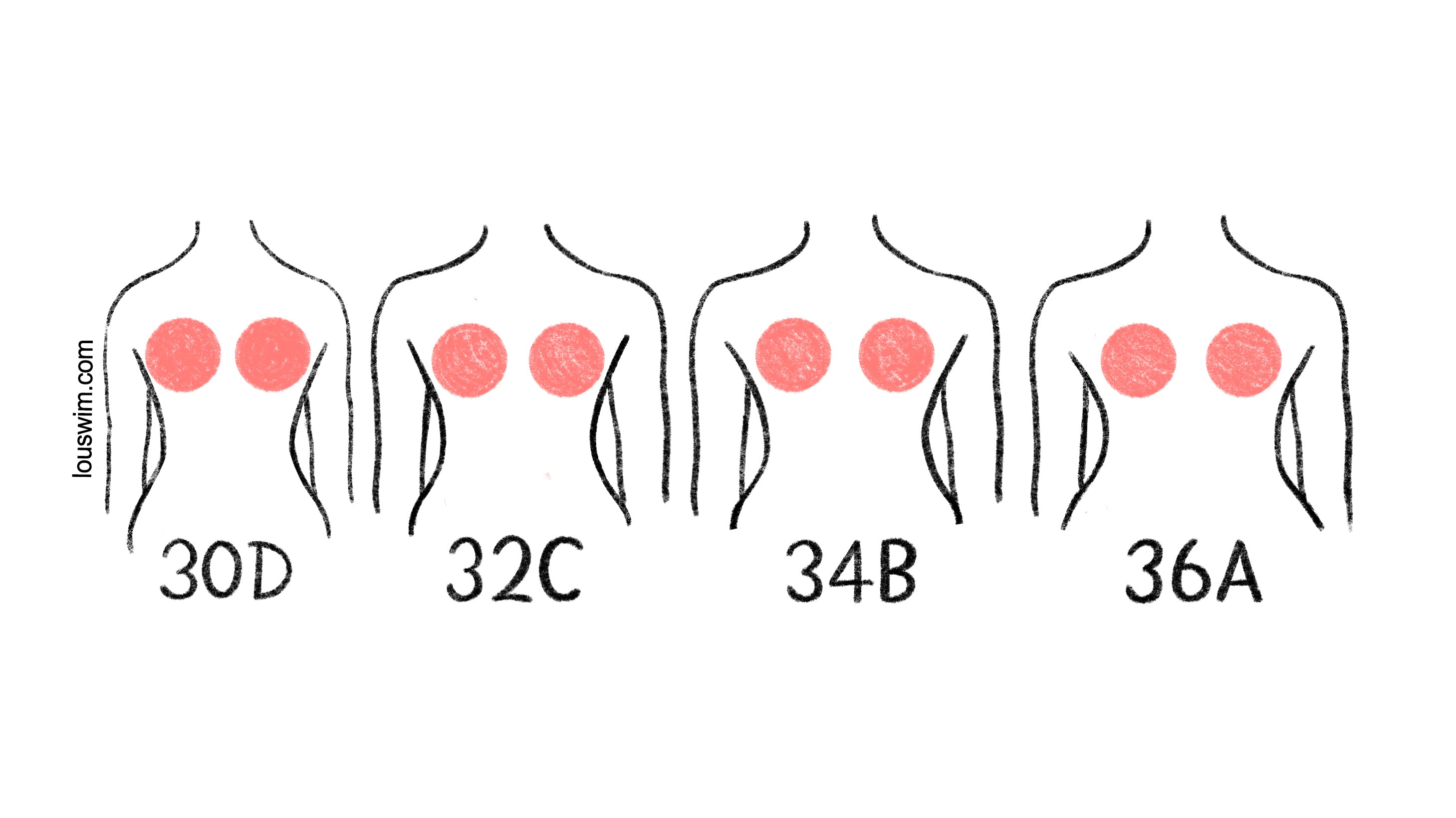 breast size scale